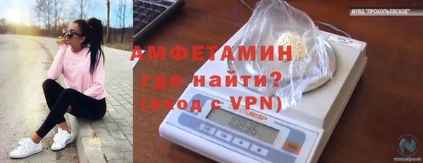 ALPHA PVP Верея