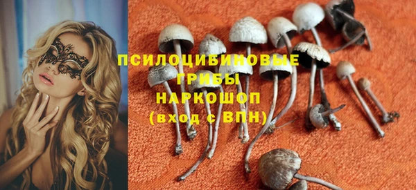 герыч Верхний Тагил