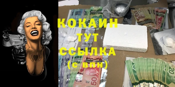 индика Верхнеуральск
