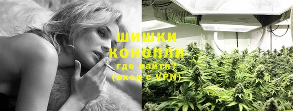 индика Верхнеуральск