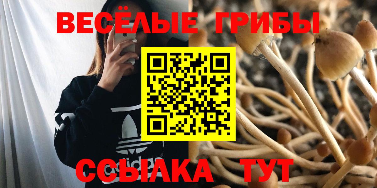 Псилоцибиновые грибы ЛСД Астрахань